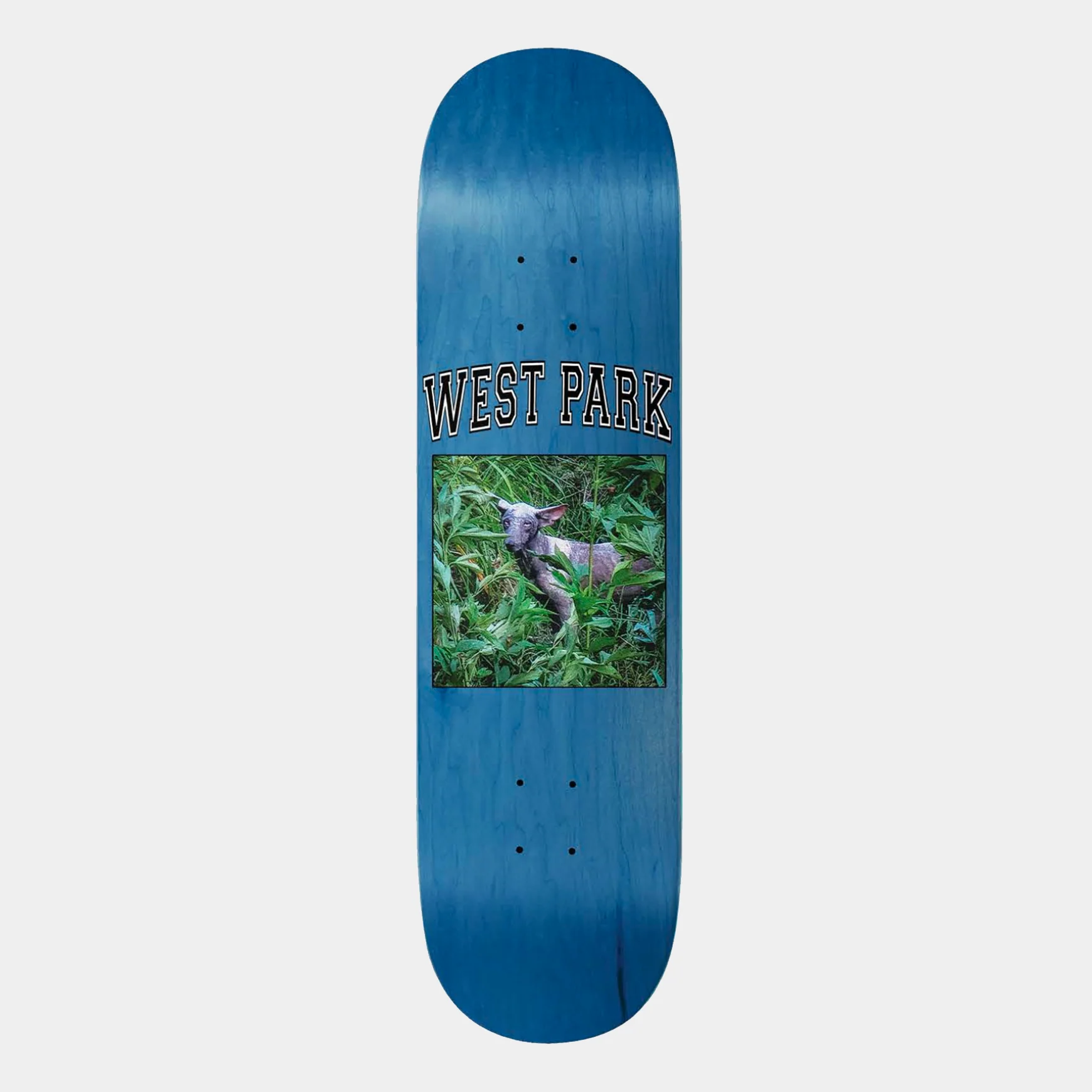 LIMOSINE AARON ANGEL DECK - Image 2