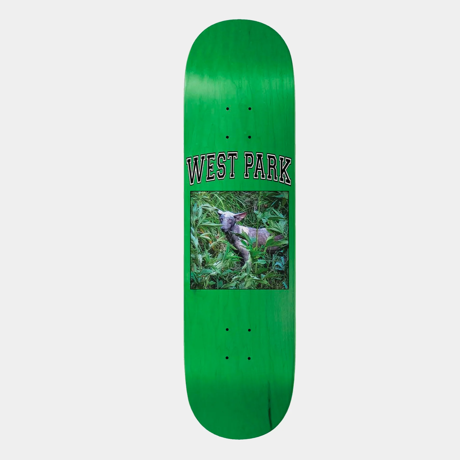 LIMOSINE AARON ANGEL DECK - Image 3