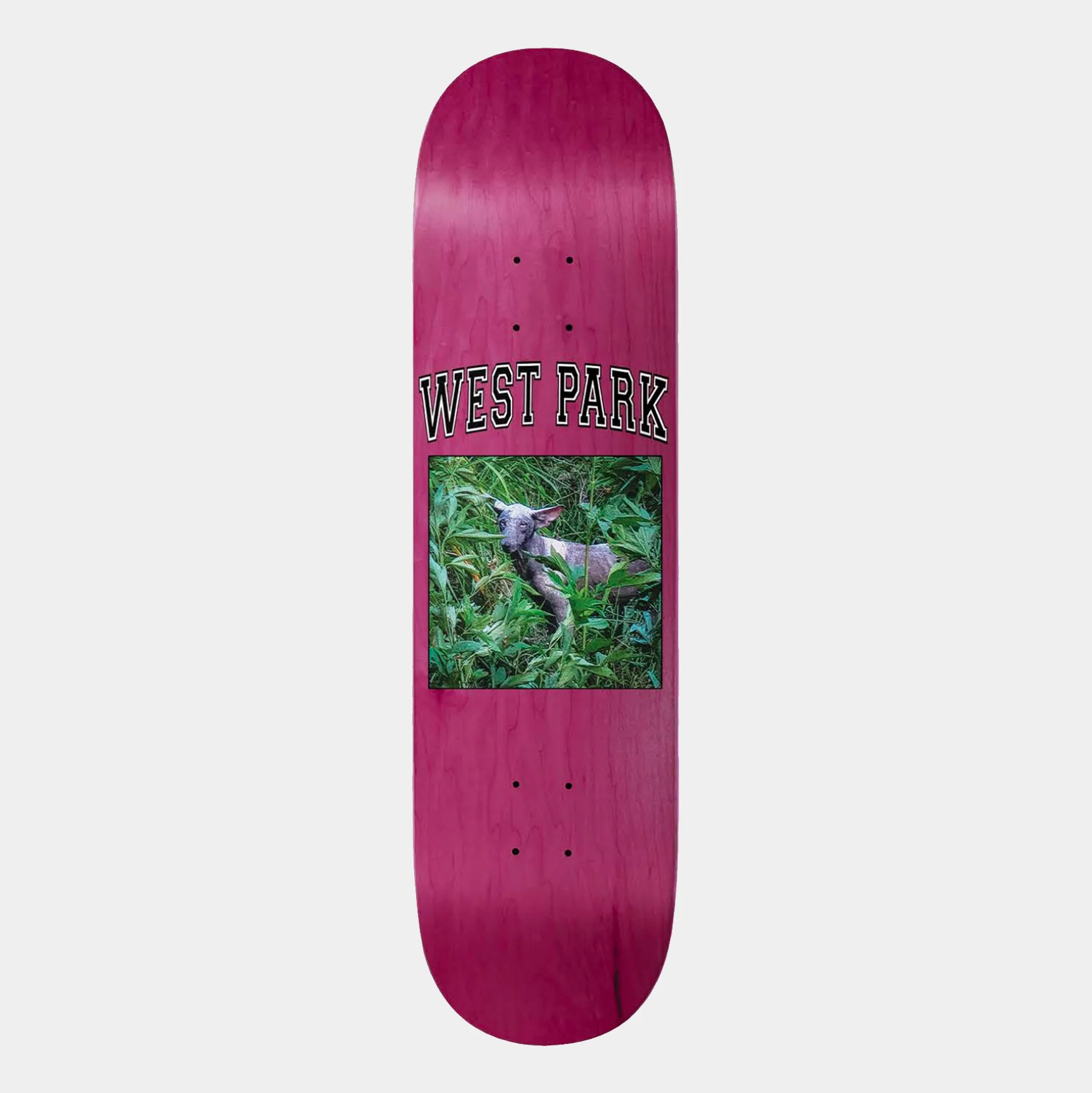 LIMOSINE AARON ANGEL DECK - Image 4